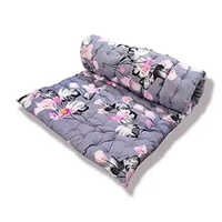 Single Bed Cotton Mattress - 4 Inch Thickness, 3 Feet X 6 Feet , Multicolor Soft Fabric For Cozy Comfort And Stylish Interior