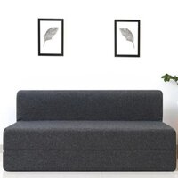 Grey Foldable Foam Sofa Cum Bed - Brand Name: Padam Shree International