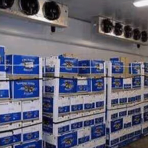 Cold Storage Room