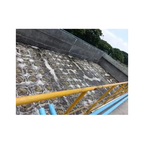 Industrial Sugar Condensate Polishing Unit
