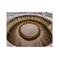 Industrial Sludge Dewatering System
