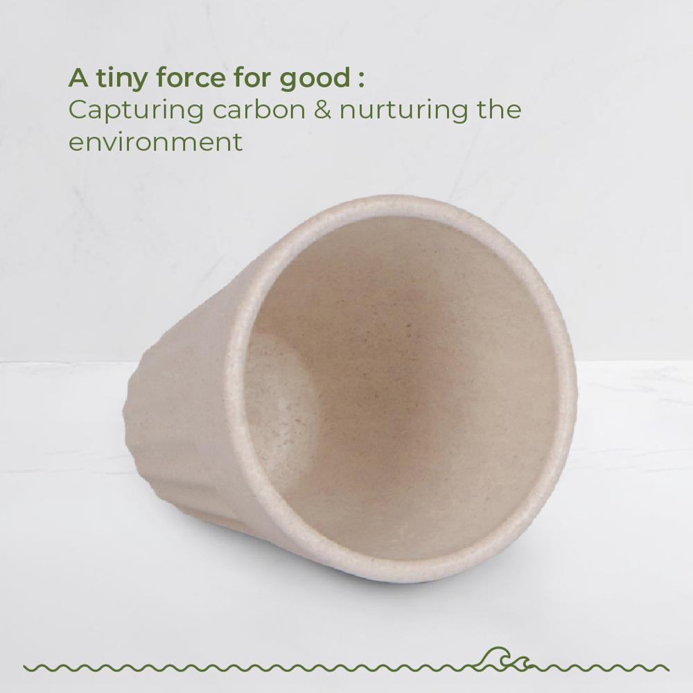 120 Ml off white non disposable tea cup