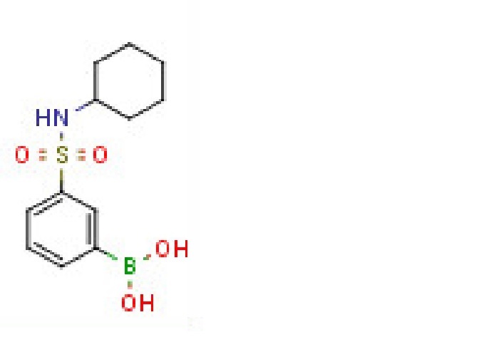 N-Cyclohexyl 3-boronobenzenesulfonamide