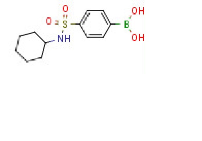 N-Cyclohexyl 4- boronobenzenesulfonamide