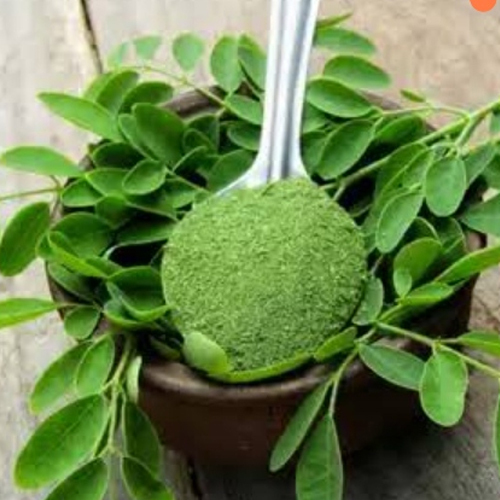Moringa Powder
