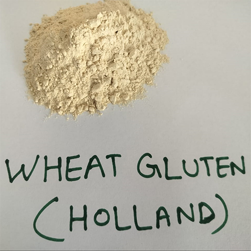 Pure Wheat Gluten - Shape: Powder