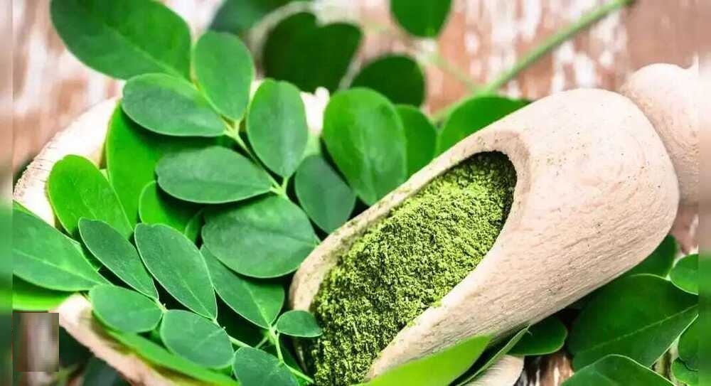 Moringa Powder - Grade: Body & Personal Care