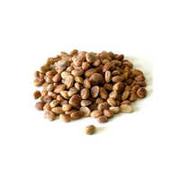 Chironji Seeds