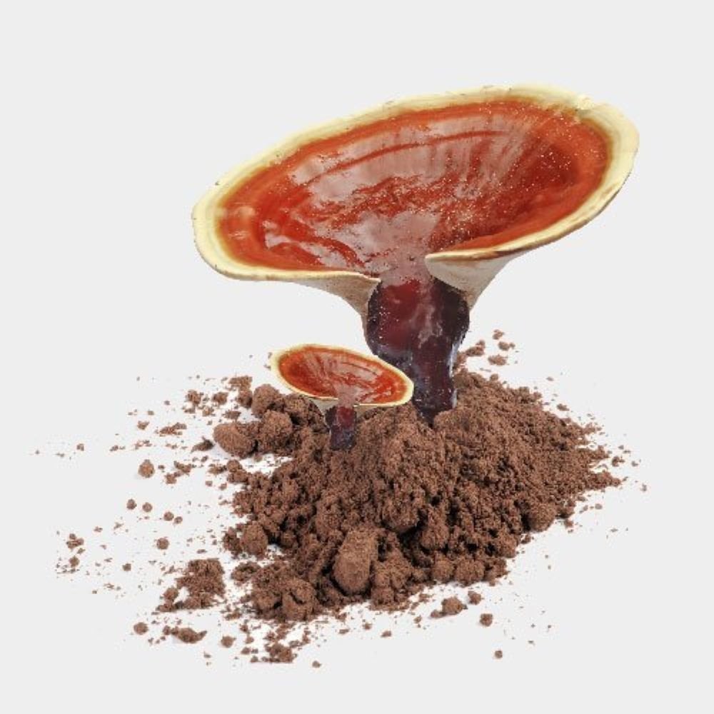 Ganoderma Herbal Extract - Color: Dark Brown
