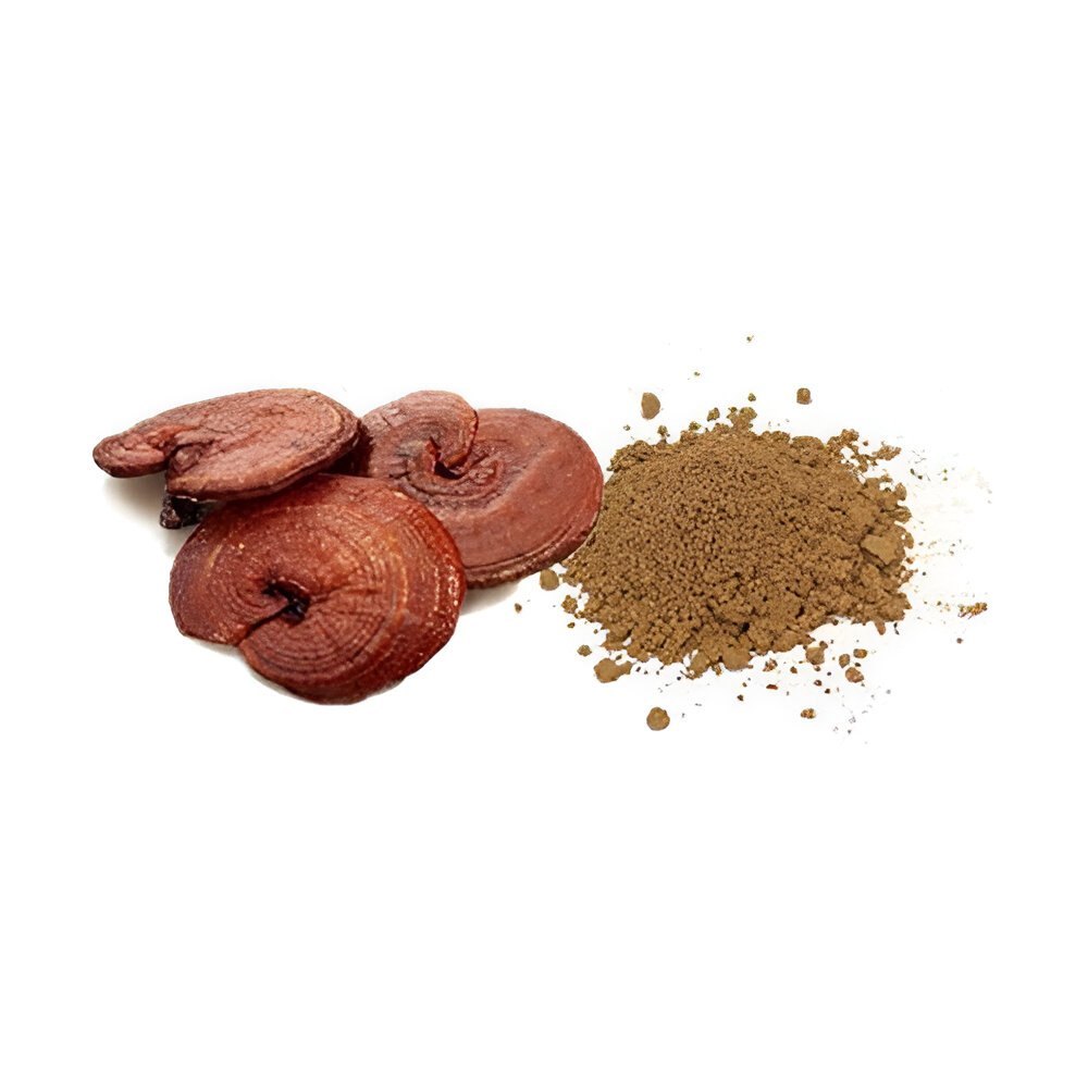 Ganoderma Extract Powder - Color: Red
