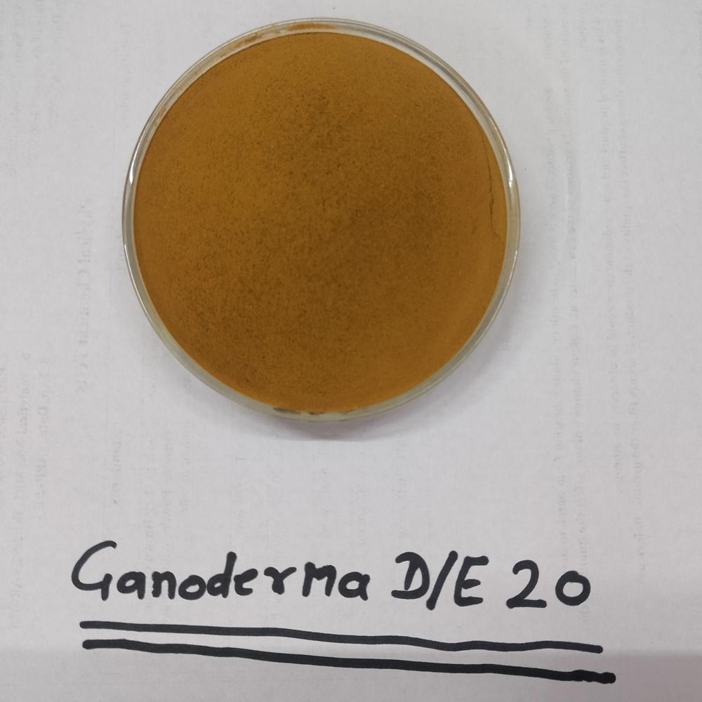 Ganoderma Extract Powder - Color: Red