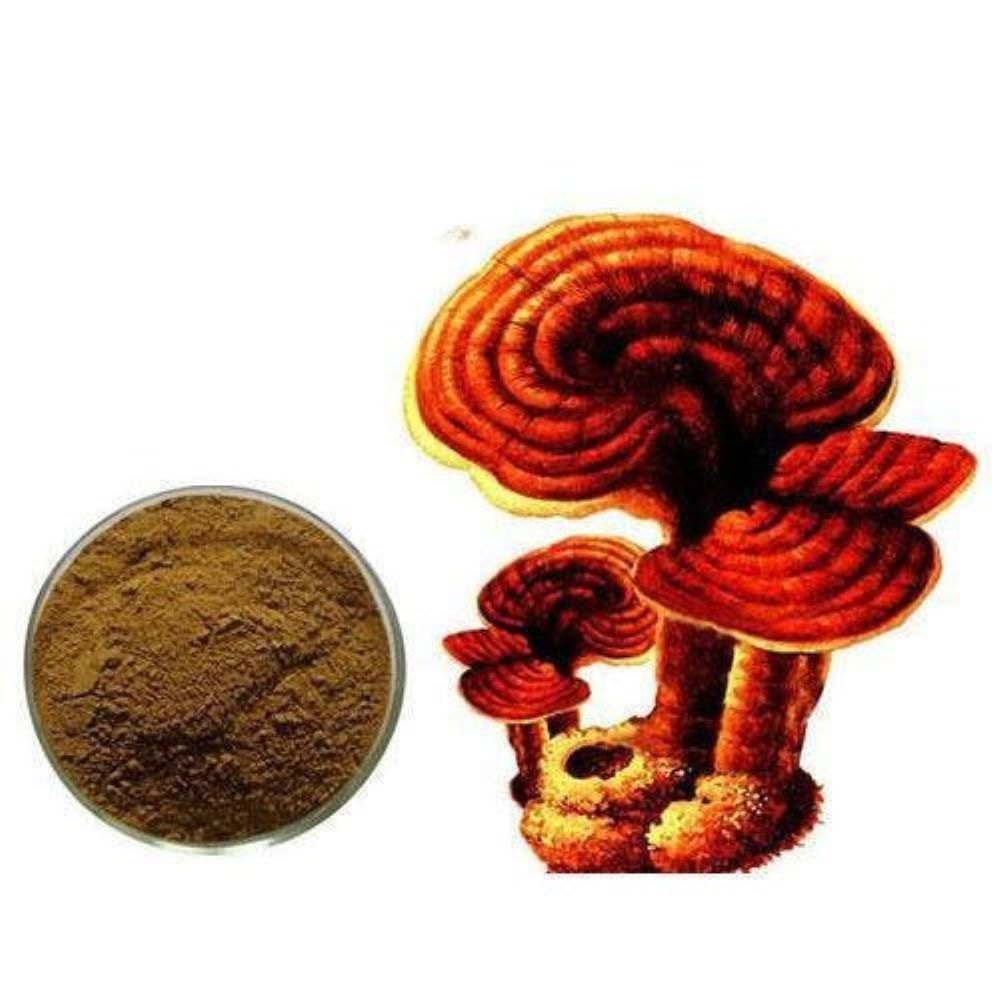 Red Ganoderma Lucidum Extract