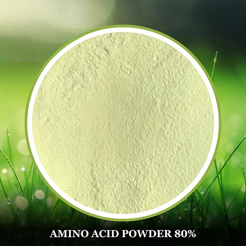 Amino Acid