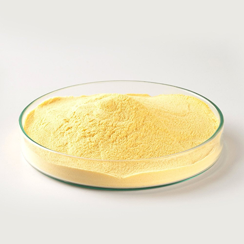 Amino Acid