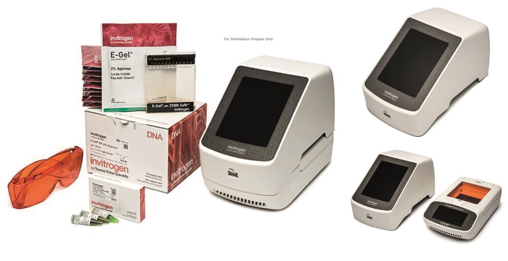 Thermo Fisher E Gel Power Snap Electrophoresis