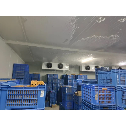 Ice Cream Cold Storage Room