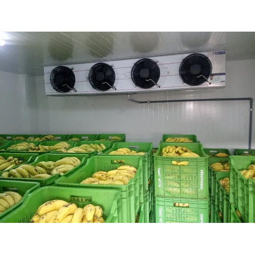 Blue Star Banana Ripening Chamber