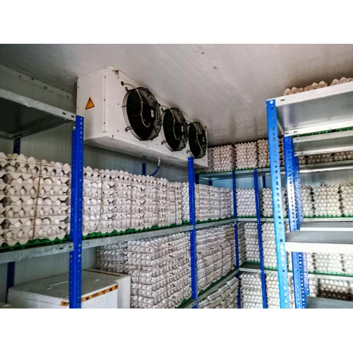 Cold Storage Services