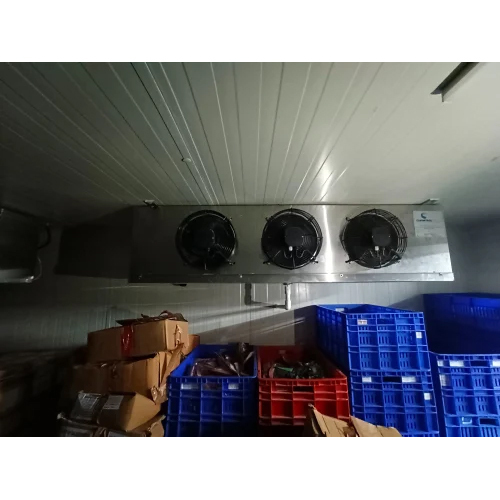 Walk-In Freezer For Frozen Items
