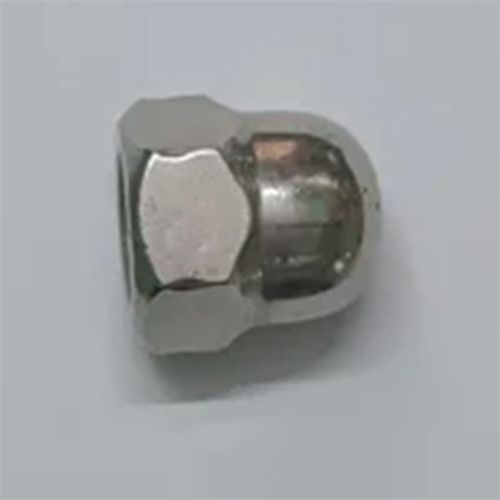 SS Dome Nut