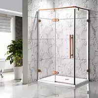 SS Pvd Finish Shower Cubical