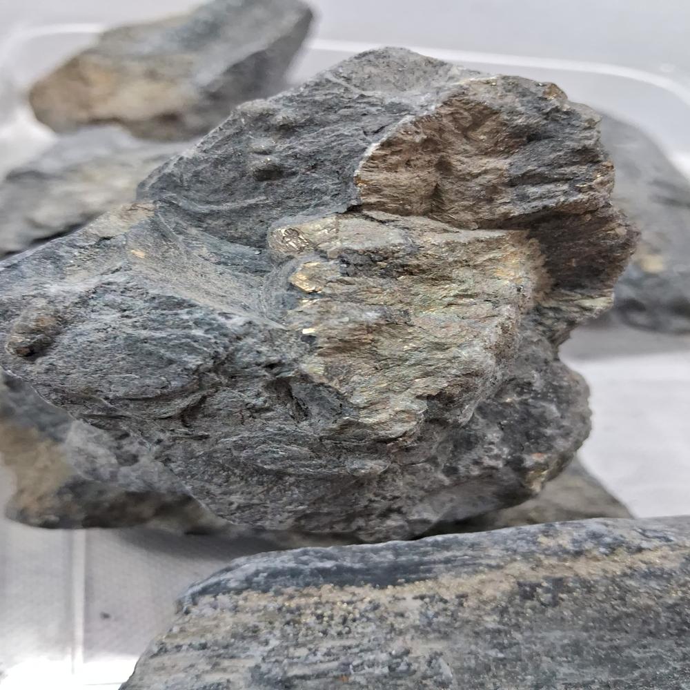 Indian Pyrite Raw Stone