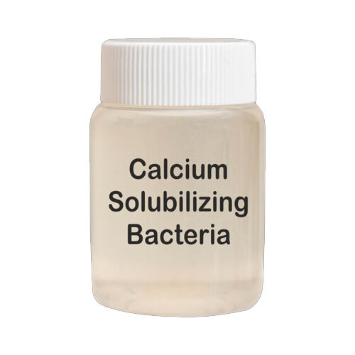 Calcium Solubilizing Bacteria - Grade: Agricultural Grade
