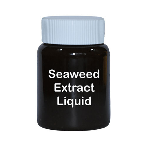 Seaweed Extract Liquid - Color: Black