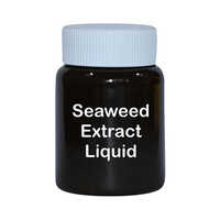 Seaweed Extract Liquid