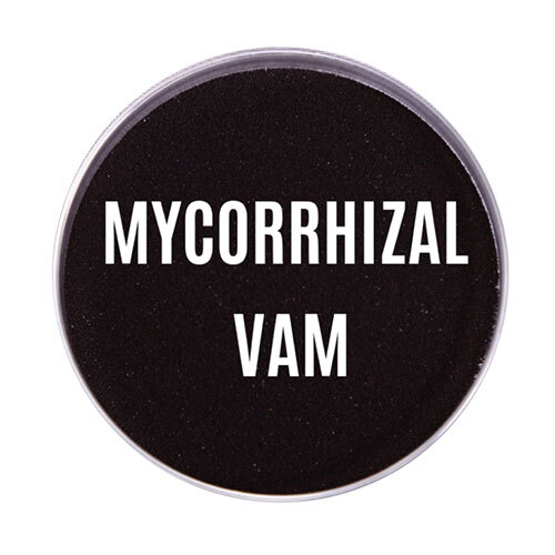 Mycorrhizal VAM