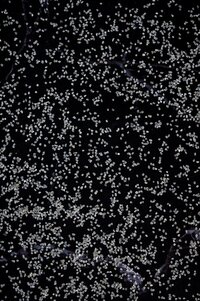 BS EN 1377-9 DENSITY SAND