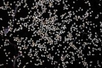 STANDARD SAND (GRADE-I)