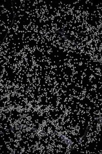 STANDARD SAND (GRADE-II)