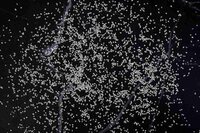 DENSITY SAND -IS 2720 (PART-XXVIII)