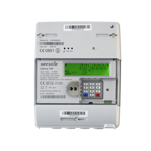 Liberty 100 Family Electricity Meter