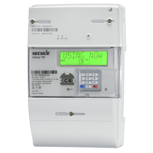 Liberty 120 Electricity Meter