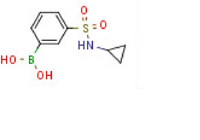 N-Cyclopropyl 3-boronobenzenesulfonamide