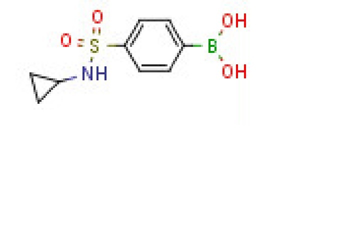 N-Cyclopropyl 4-boronobenzenesulfonamide