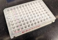 Thermo Scientific KingFisher Plastics for 96 standard and PCR formats