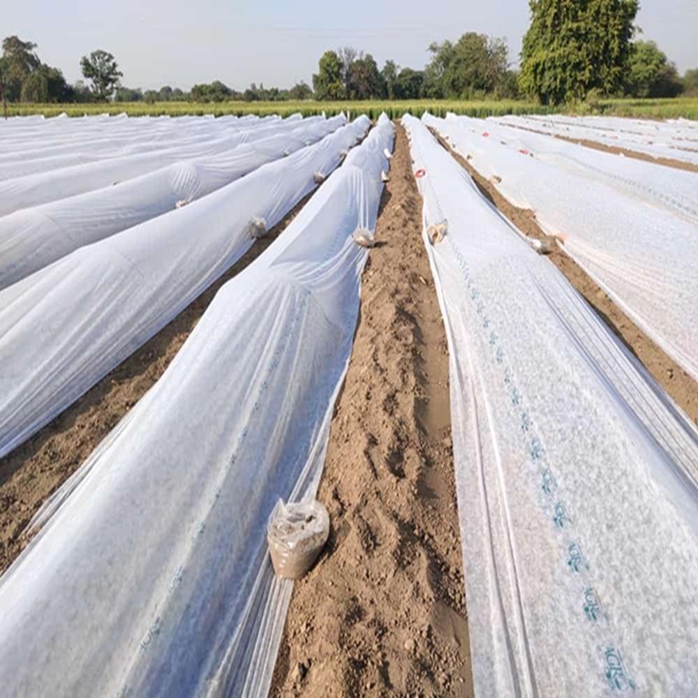AGRICULTURE NON WOVEN
