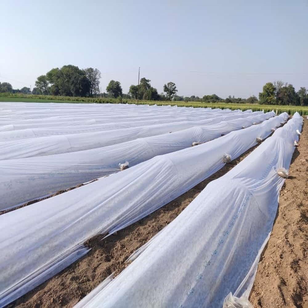AGRICULTURE NON WOVEN