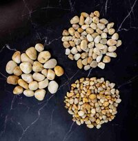 IVORY GRAVEL