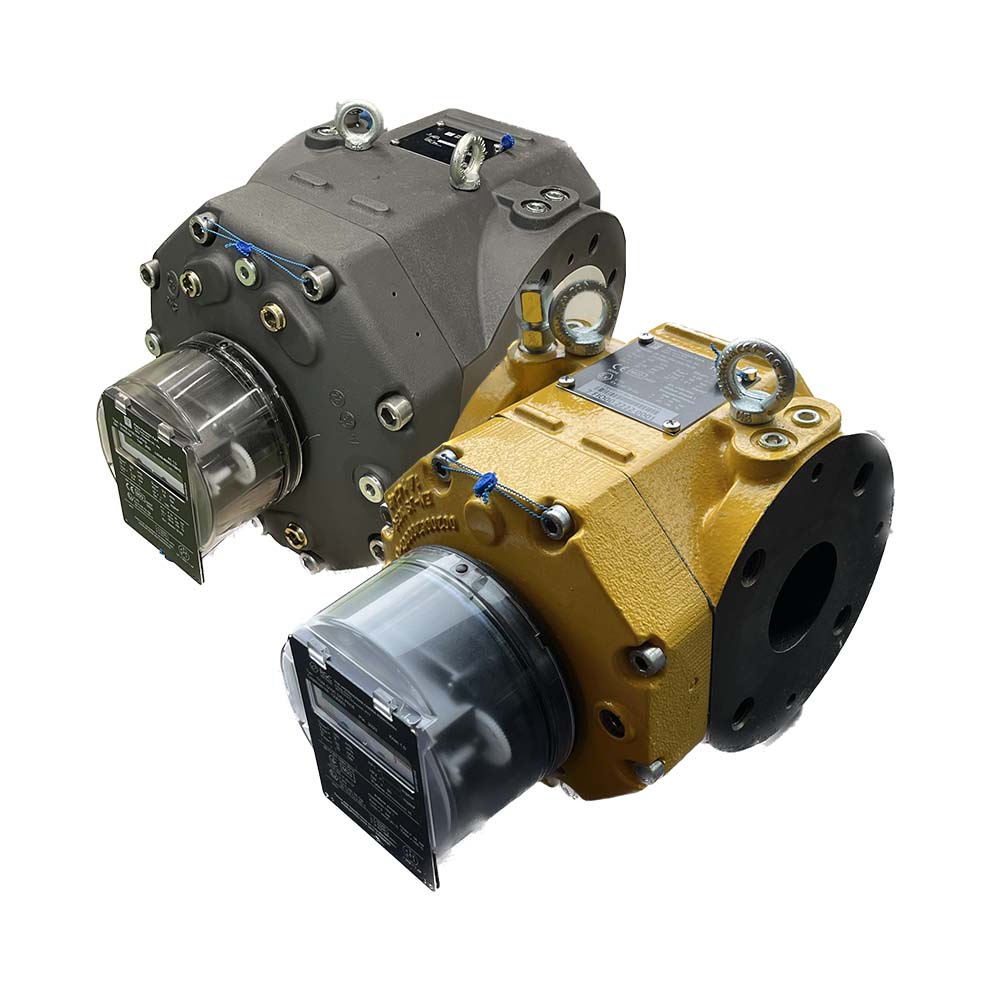 Pietro Fiorentini Gas Flowmeter