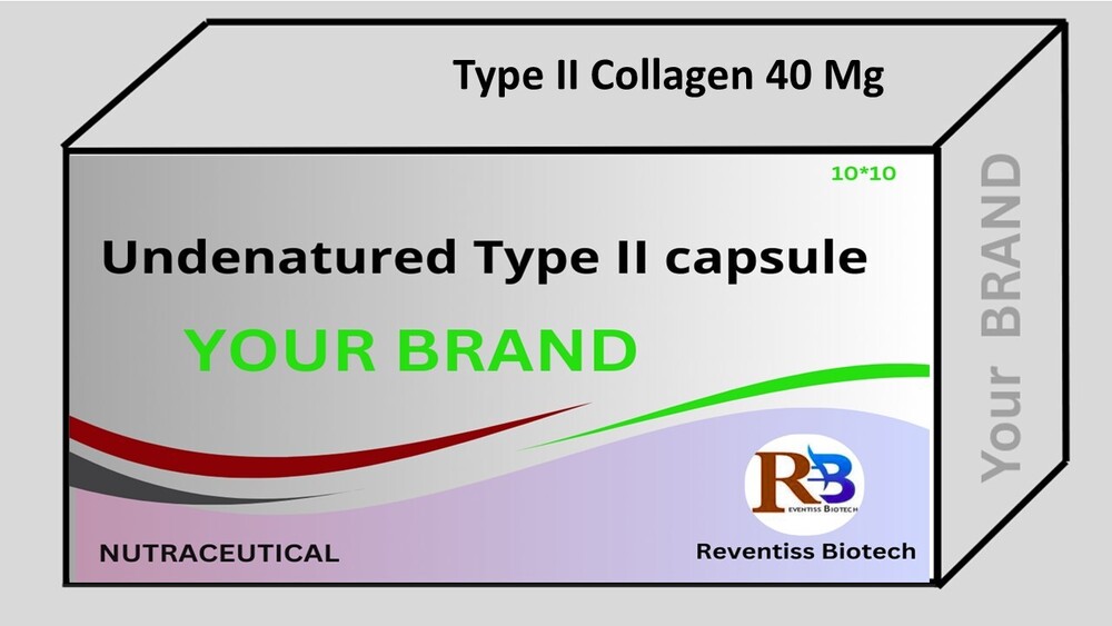 undenatured collagen type 2