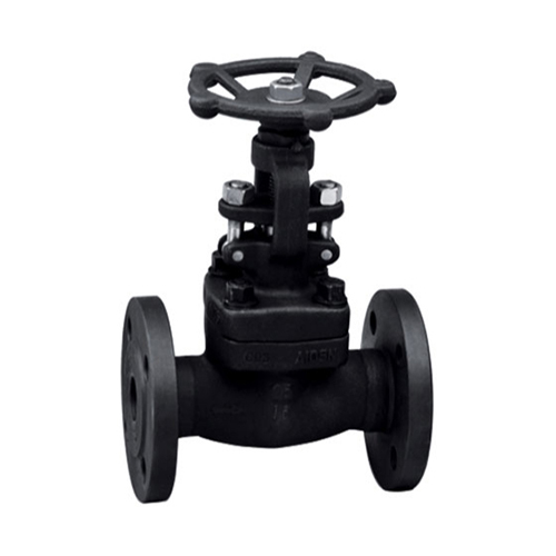 Globe Valve