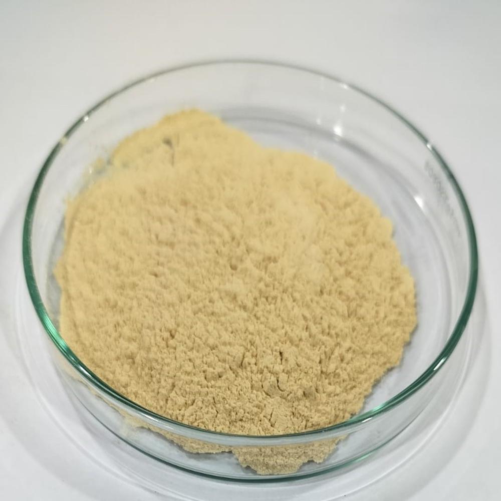 Ginger Herbal Extract