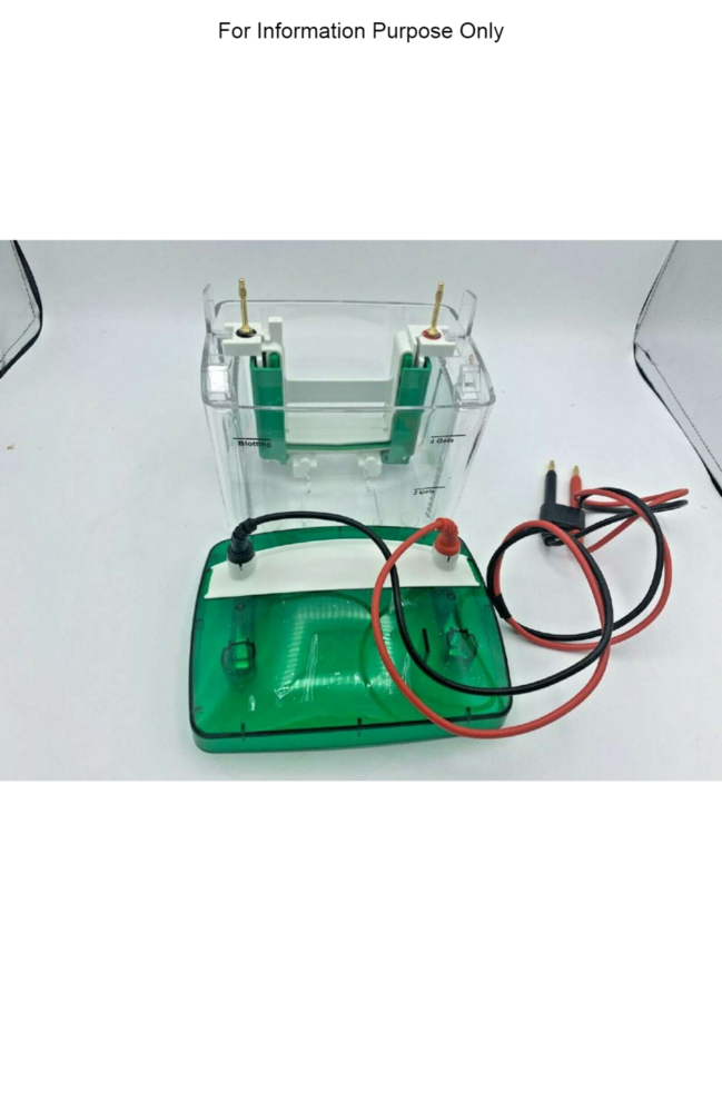 Bio Rad Mini-Protean Tetra Vertical Electrophoresis Cell