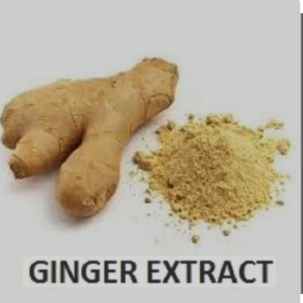 Ginger Dry Extract - Color: Brown