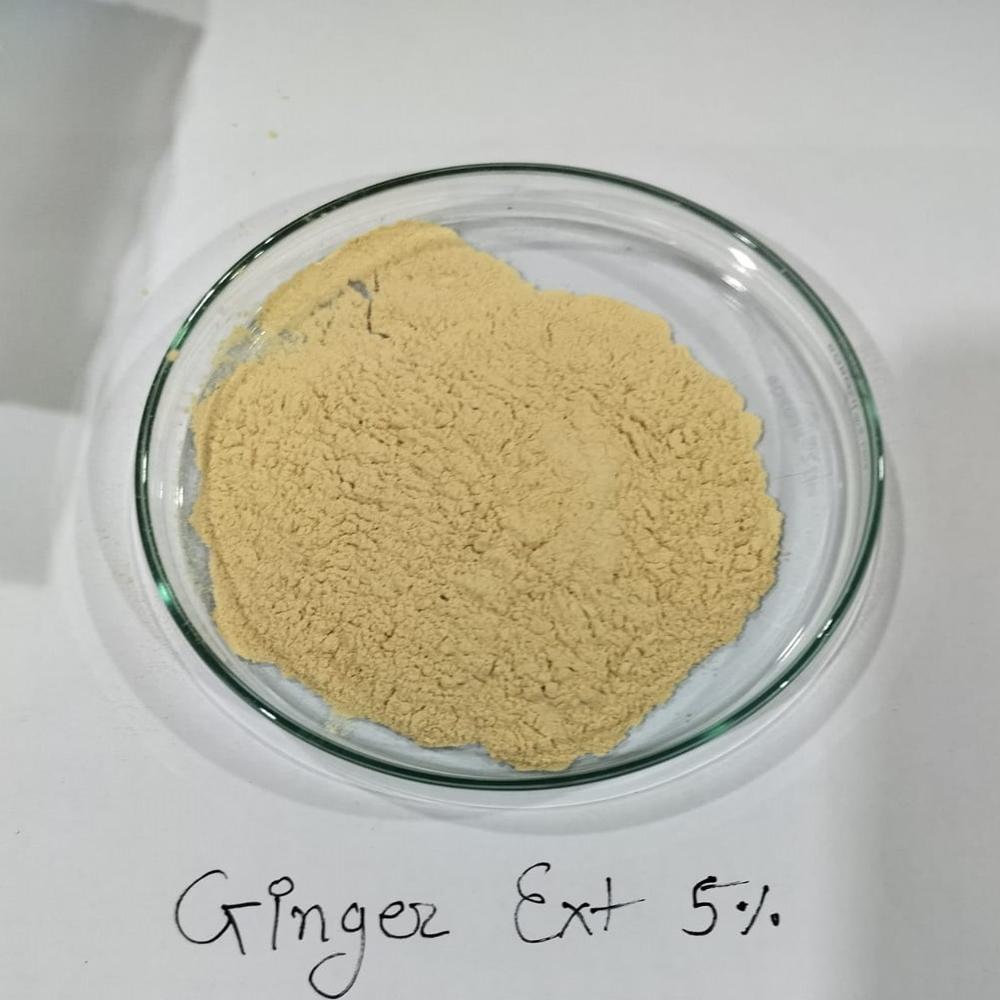 Ginger Dry Extract - Color: Brown