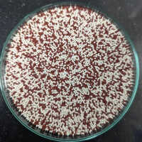 Rabeprazole Levosulpiride Pellets